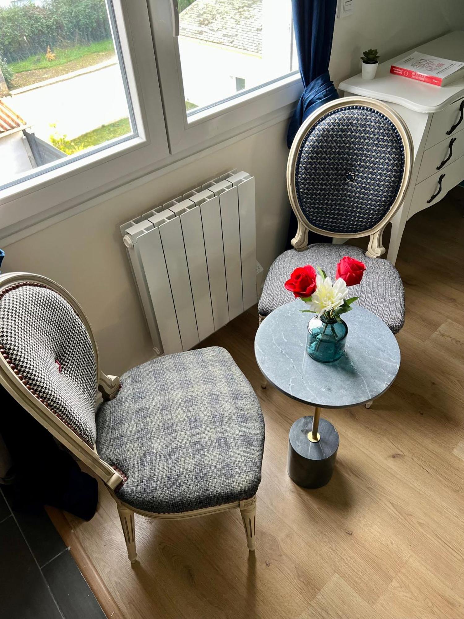 Studios Ideal Pro I Centre-Ville & Parking Gratuit Châtellerault Exteriér fotografie