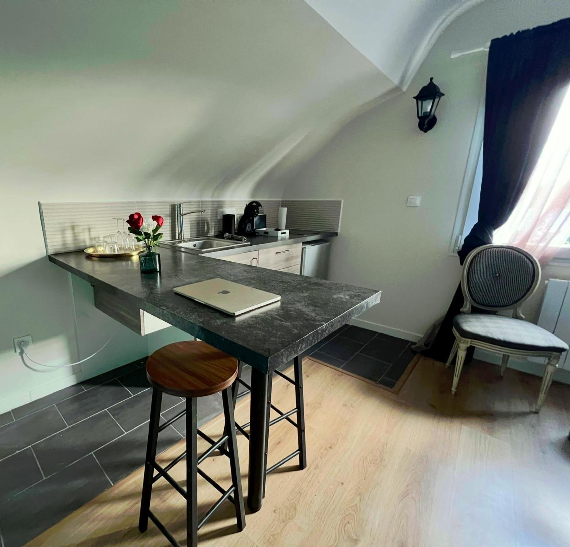 Studios Ideal Pro I Centre-Ville & Parking Gratuit Châtellerault Exteriér fotografie