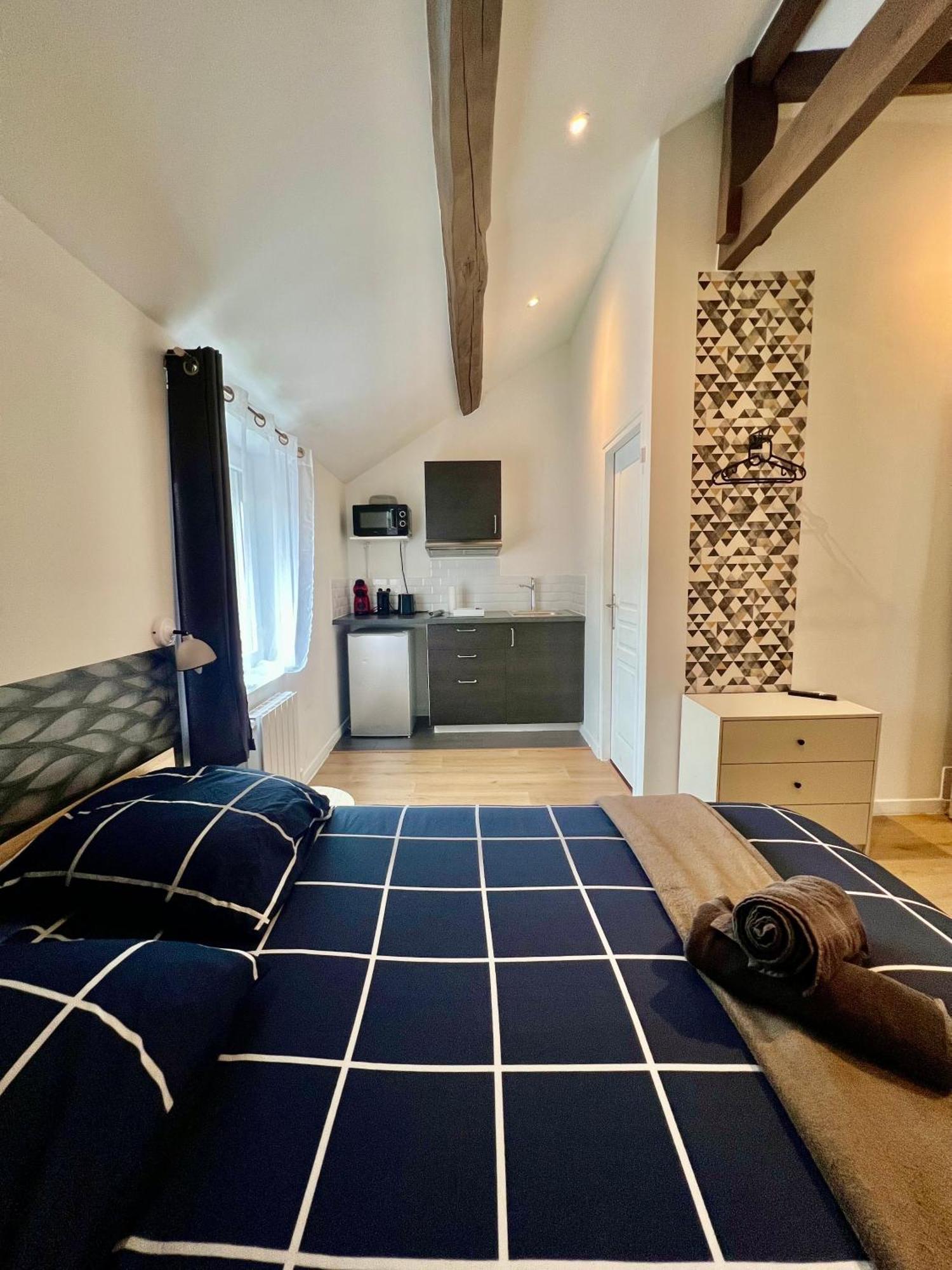 Studios Ideal Pro I Centre-Ville & Parking Gratuit Châtellerault Exteriér fotografie