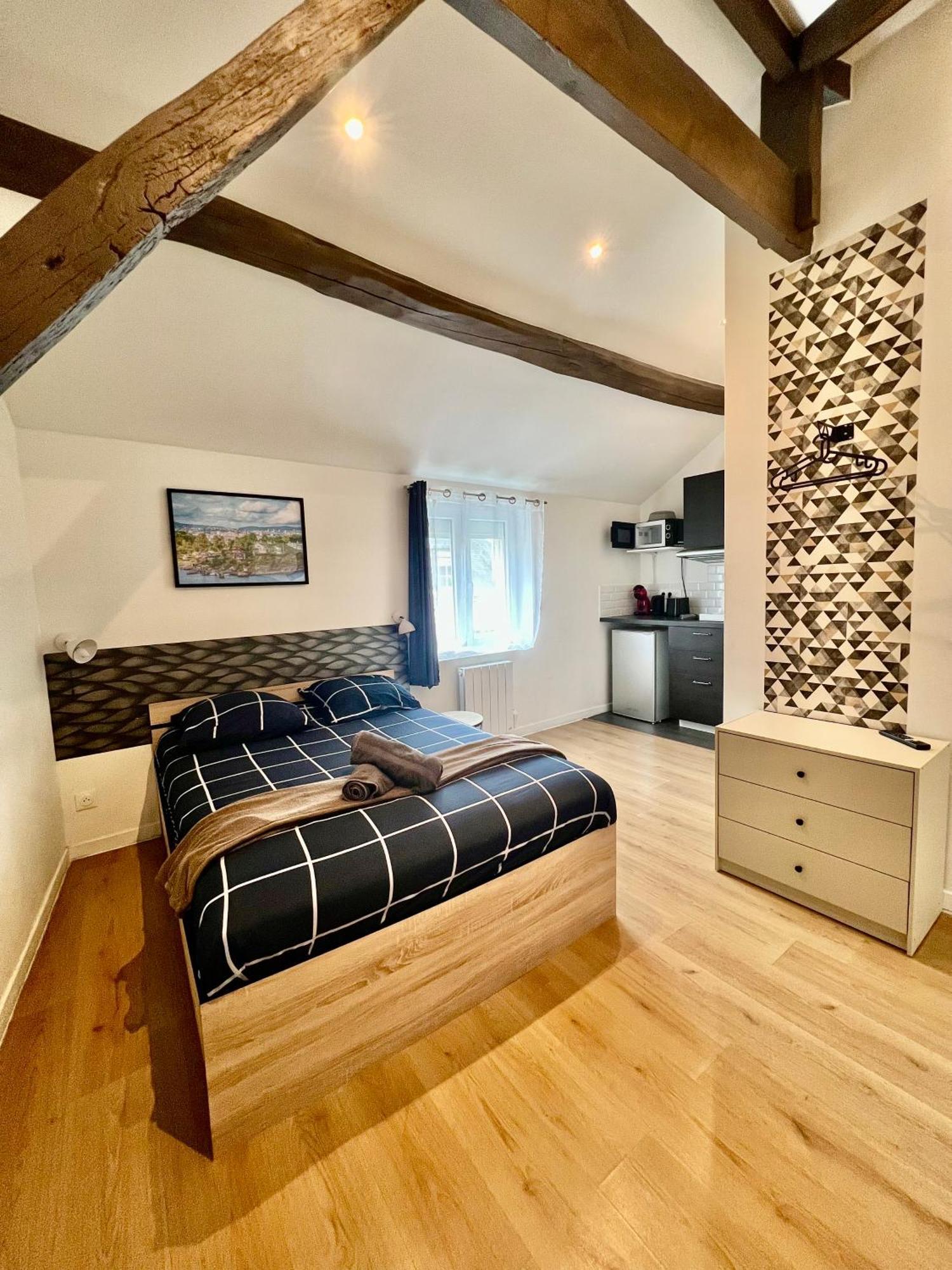 Studios Ideal Pro I Centre-Ville & Parking Gratuit Châtellerault Exteriér fotografie