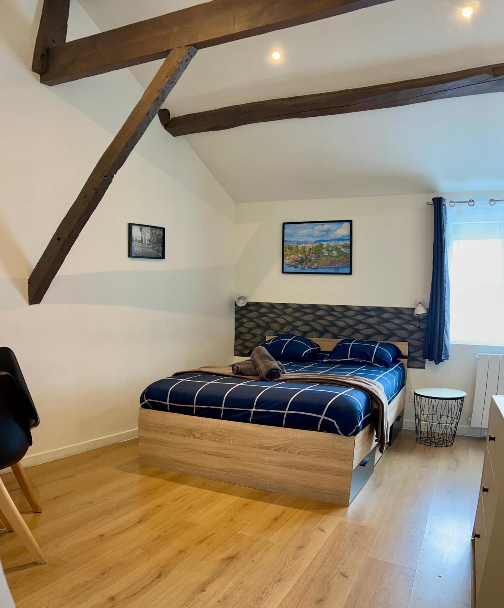 Studios Ideal Pro I Centre-Ville & Parking Gratuit Châtellerault Exteriér fotografie